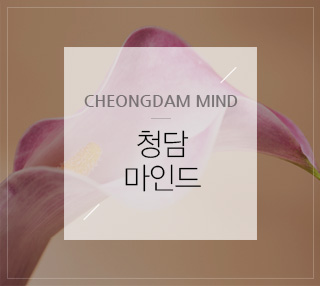 자궁선근증 프리미엄하이푸